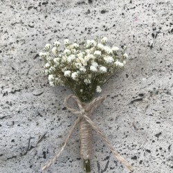 Damat Yaka Çiçeği 2-YKC-1012