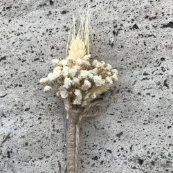 Damat Yaka Çiçeği 6-YKC-1016