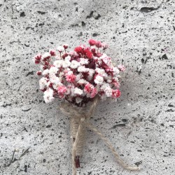 Damat Yaka Çiçeği 7-YKC-1017