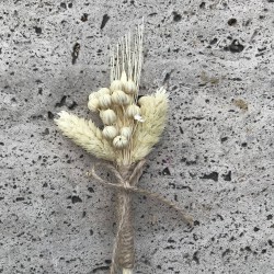 Damat Yaka Çiçeği 11-YKC-1021