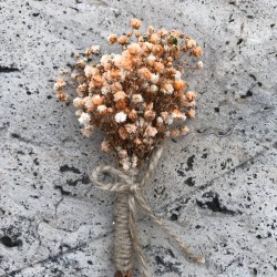 Turuncu Krem Cipsolu Damat Yaka Çiçeği-YKC-1024