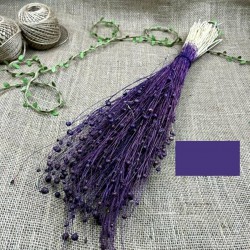 Mor Renk Keten Otu - Luna Otu-YPC-123