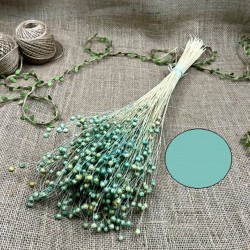 Yeşil Renk Keten Otu - Luna Otu-YPC-127