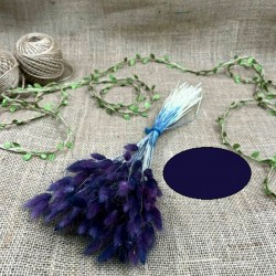 Asorti Karışık Renk Pamuk Otu-YPC-128