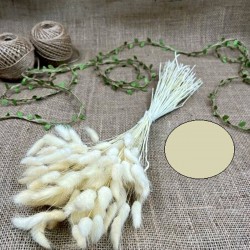 Doğal Renk Pamuk Otu-YPC-130