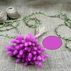 Eflatun Renk Pamuk Otu-YPC-131