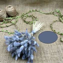 Gri Renk Pamuk Otu-YPC-132