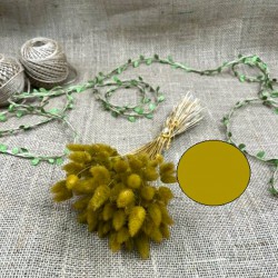 Hardal Rengi Pamuk Otu-YPC-133