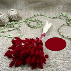 Kırmızı Renk Pamuk Otu-YPC-134