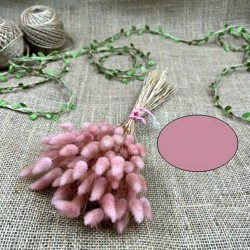 Koyu Pudra Rengi Pamuk Otu-YPC-136