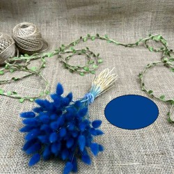 Lacivert Renk Pamuk Otu-YPC-137