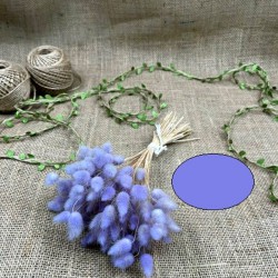 Lila Rengi Pamuk Otu-YPC-138