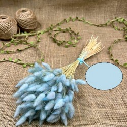 Mavi Renk Pamuk Otu-YPC-139