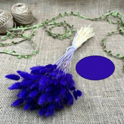 Mor Renk Pamuk Otu-YPC-140