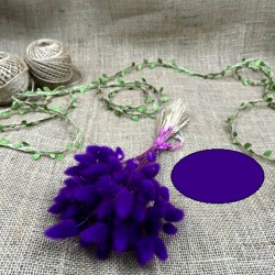 Mürdüm Rengi Pamuk Otu-YPC-141