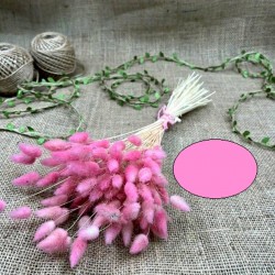 Pembe Renk Pamuk Otu-YPC-142