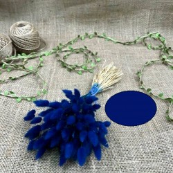 Saks Mavi Rengi Pamuk Otu-YPC-144