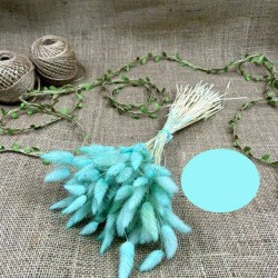 Su Yeşili Renk Pamuk Otu-YPC-146