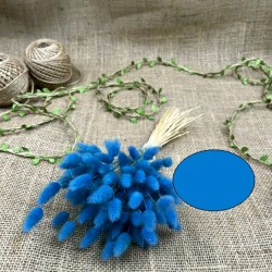 Turkuaz Rengi Pamuk Otu-YPC-147