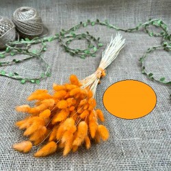 Turuncu Renk Pamuk Otu-YPC-148