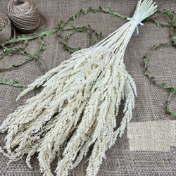 Doğal Kurutulmuş Şoklanmış Darcan Kuru Çiçek-YPC-182