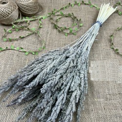 Gri Kurutulmuş Şoklanmış Darcan Kuru Çiçek-YPC-183