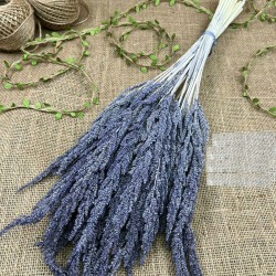 Lacivert Kurutulmuş Şoklanmış Darcan Kuru Çiçek-YPC-185