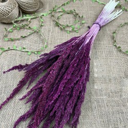 Vişne Rengi Kurutulmuş Şoklanmış Darcan Kuru Çiçek-YPC-189