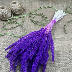 Mürdüm Kurutulmuş Şoklanmış Darcan Kuru Çiçek-YPC-191