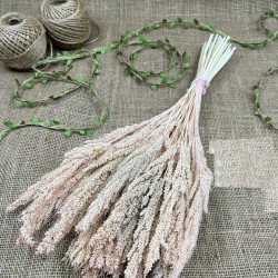 Somon Kurutulmuş Şoklanmış Darcan Kuru Çiçek-YPC-192