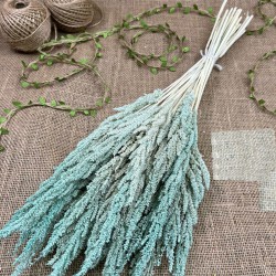 Su Yeşili Kurutulmuş Şoklanmış Darcan Kuru Çiçek-YPC-193