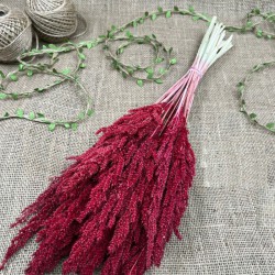 Bordo Kurutulmuş Şoklanmış Darcan Kuru Çiçek-YPC-194