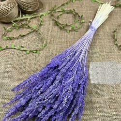 Lila Kurutulmuş Şoklanmış Darcan Kuru Çiçek-YPC-195