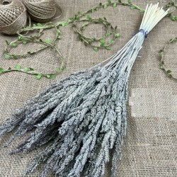 Kahverengi Kurutulmuş Şoklanmış Darcan Kuru Çiçek-YPC-199