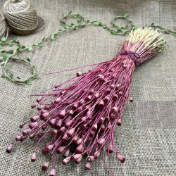 Pembe Gelincik Tohumu Şoklanmış Doğal Kuru Çiçek-YPC-200