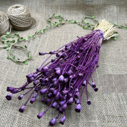 Mor Gelincik Tohumu Şoklanmış Doğal Kuru Çiçek-YPC-202