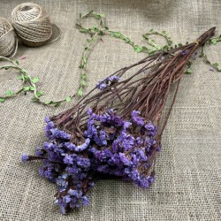 Mor Şoklanmış Statis Otu Kuru Çiçek -YPC-204