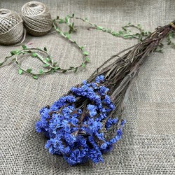 Eflatun Şoklanmış Statis Otu Kuru Çiçek -YPC-205