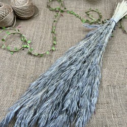 Gri Kuru Çiçek Kurutulmuş Kuş Dili Otu-YPC-207