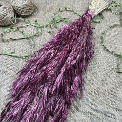 Koyu Bordo Kuru Çiçek Kurutulmuş Kuş Dili Otu-YPC-209