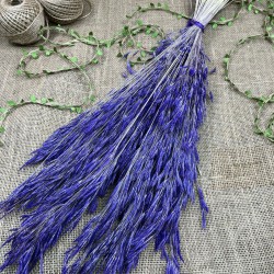 Mor Kuru Çiçek Kurutulmuş Kuş Dili Otu-YPC-210