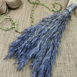 Lacivert Kuru Çiçek Kurutulmuş Kuş Dili Otu-YPC-211