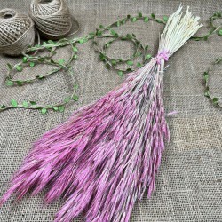 Pembe Kuru Çiçek Kurutulmuş Kuş Dili Otu-YPC-212