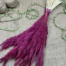 Vişne Kuru Çiçek Kurutulmuş Kuş Dili Otu-YPC-214