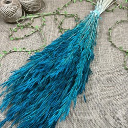 Zümrüt Yeşili Kuru Çiçek Kurutulmuş Kuş Dili Otu-YPC-215