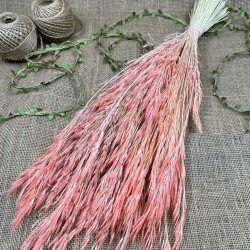 Somon Kuru Çiçek Kurutulmuş Kuş Dili Otu-YPC-216