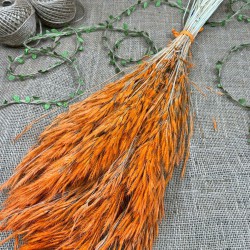 Turuncu Kuru Çiçek Kurutulmuş Kuş Dili Otu-YPC-217