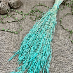 Su Yeşili Kuru Çiçek Kurutulmuş Kuş Dili Otu-YPC-218