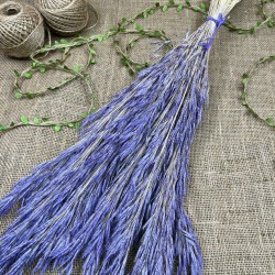 Lila Kuru Çiçek Kurutulmuş Kuş Dili Otu-YPC-220