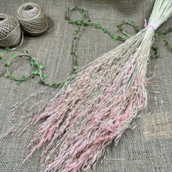 Pudra Kuru Çiçek Kurutulmuş Kuş Dili Otu-YPC-221